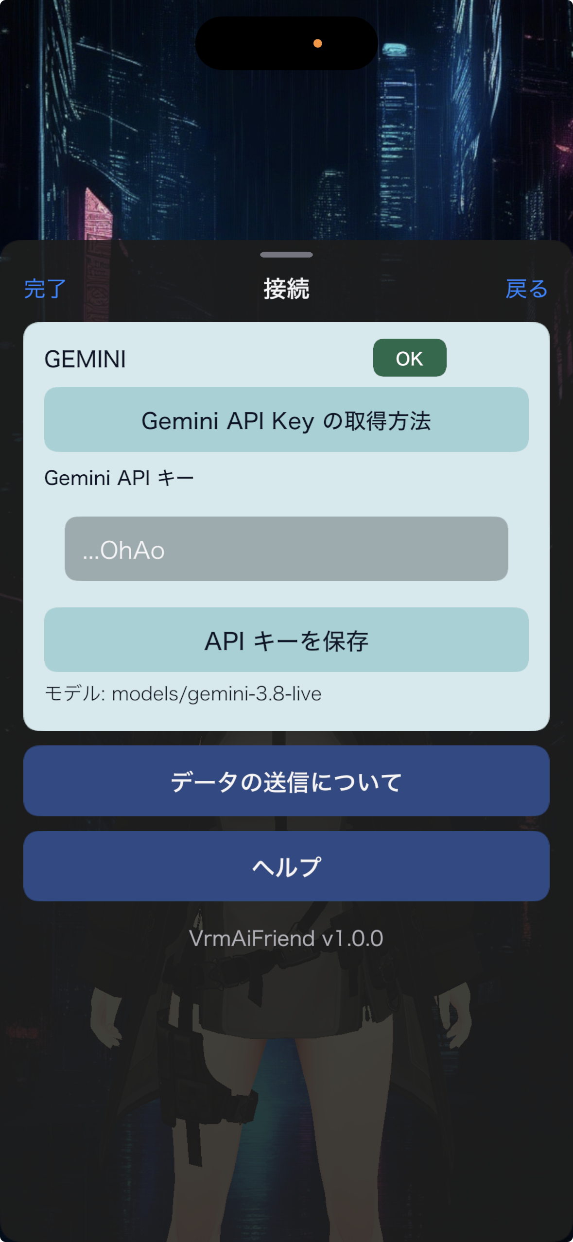 API キーのペーストと保存