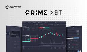 Unlocking Trading Potential Exploring the Bonus PrimeXBT